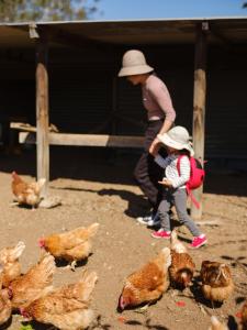 une femme et un enfant debout à côté des poulets dans l'établissement Barrington Riverside Cottages, à Barrington