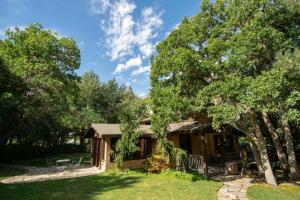 una casa con un árbol y un patio en The Creekside Cabin at La Caille, en Sandy