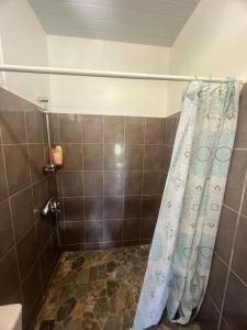 La salle de bains est pourvue d'une douche avec rideau de douche. dans l'établissement Mataiea Villa view, à Mataiea