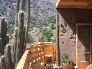 una habitación con un muro de escalada con cactus en Origen del Maipo Lodge en San José de Maipo