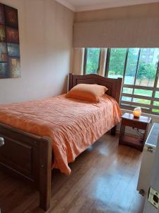 a bedroom with a bed with an orange comforter at Lorena in Concepción