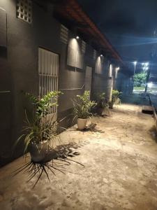 un couloir avec des plantes en pot sur le côté d'un bâtiment dans l'établissement Casa Frida 3, à Natal