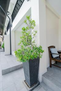 Balkón nebo terasa v ubytování Naiya Buree Boutique Resort