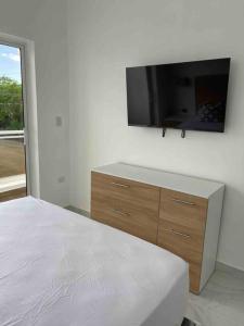 TV a/nebo společenská místnost v ubytování Luxury Villa in Punta Cana, DR.