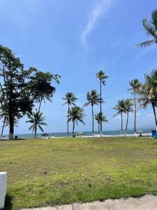 a park with palm trees on a beach with the ocean at Piscina Mar en el Paraíso Caribe in Colón