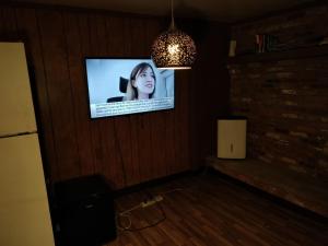 LOVELY ONE BEDROOM BASEMENT PLACE في فريدريك: غرفة مع تلفزيون بشاشة مسطحة على الحائط