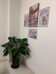 Fotografie z fotogalerie ubytování 芯之所嚮 v destinaci Chua-lien