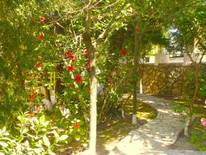 Κήπος έξω από το Mirabelle Hotel