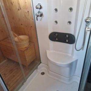 a small bathroom with a toilet and a shower at Casa Cojanu in Petroşani