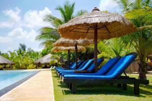 a row of blue lounge chairs under an umbrella next to a swimming pool at Palagama Beach Resort in Kalpitiya