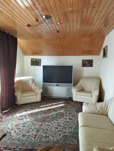 sala de estar con 2 sofás y TV de pantalla plana en Punct Gastronomic Local Acasa la Vero en Schiuleşti
