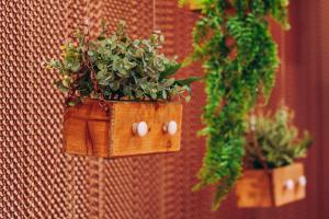 two potted plants are hanging on a wall at Hotel Zum Ochsen in Oberstenfeld