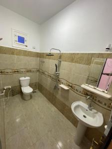 ein Bad mit einem WC und einem Waschbecken in der Unterkunft Desert Escape siwa -with palm & olive Garden - Hot Spring in Siwa