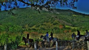 grupa ludzi jeżdżących konno na polu w obiekcie Fazenda da Roseta - Turismo Rural e Passeios a Cavalo - w mieście Baependi