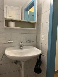 Ein Badezimmer in der Unterkunft CH01 Schönes Apartment nahe Zentrum Basel