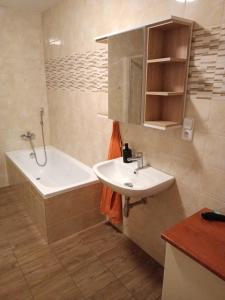 a bathroom with a sink and a bath tub at Apartmán Štefánikova in Zlín