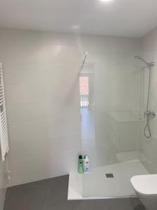 y baño blanco con ducha y aseo. en Apartamento en el centro, en Igualada