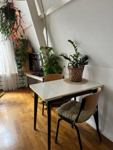 a table and chairs in a room with plants at Groenlokaal in Alkmaar