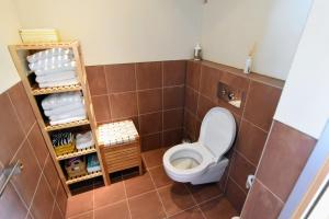 een badkamer met een toilet in een bruin betegelde kamer bij De Kinkhoorn in Ezinge
