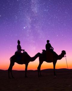 two people riding on camels in the desert under the stars at Al Salam Desert Camp Bidiya in Badīyah