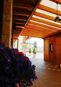 Zahrada ubytování Albergo Milano