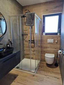 La salle de bains est pourvue d'une douche, de toilettes et d'un lavabo. dans l'établissement Apartment Luka, à Privlaka