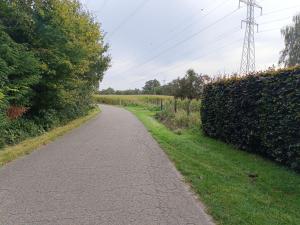 a road with a hedge on the side of it at Eros residentie in Geel