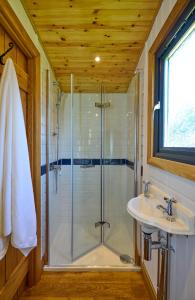 La salle de bains est pourvue d'une douche et d'un lavabo. dans l'établissement Abberley Shepherds Hut - Ockeridge Rural Retreats, à Wichenford
