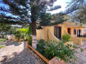 a pine tree in front of a house at Zak's Apartments in Ksamil