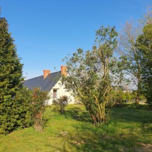 ein weißes Haus in einem Hof mit Bäumen in der Unterkunft Au fil des saisons in Grézillé