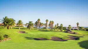 uma vista para um campo de golfe com palmeiras em Apartamento Golf del Sur em San Miguel de Abona