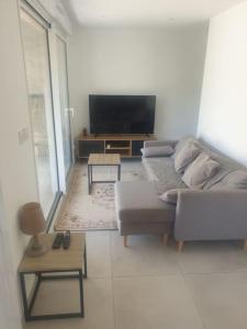 a living room with a couch and a flat screen tv at spacieux T2 confortable in Saint-Vallier