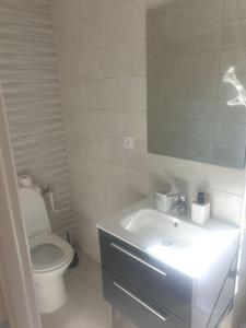 a white bathroom with a toilet and a sink at spacieux T2 confortable in Saint-Vallier +1 photo