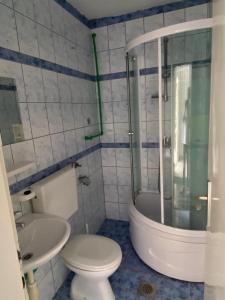 ein Bad mit einem WC, einer Dusche und einem Waschbecken in der Unterkunft Vila Dvorski in Baška Voda