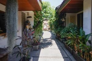 a walkway in a house with plants on it at Wayan Homestay Sanur in Sanur
