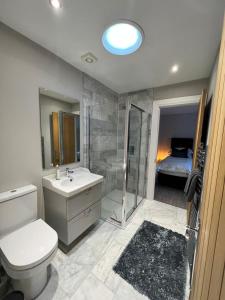 een badkamer met een toilet, een wastafel en een douche bij The Carthouse (Luxury 2 bed with private hot tub) in Newburgh
