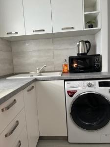 a kitchen with a sink and a washing machine at Cozy Studios in Suceava in Suceava