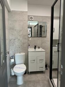 a bathroom with a toilet and a sink and a mirror at Cozy Studios in Suceava in Suceava