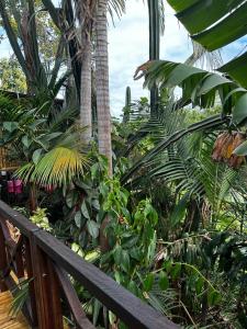 una recinzione in legno in un giardino con palme e piante di Chalet L a Saint-Pierre
