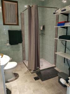 W łazience znajduje się prysznic, toaleta i umywalka. w obiekcie Mama w mieście Osijek