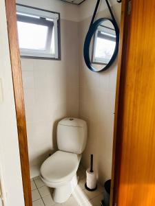 a small bathroom with a toilet and a mirror at Woonboot in Sumar gelegen tussen Leeuwarden en Drachten in Suameer