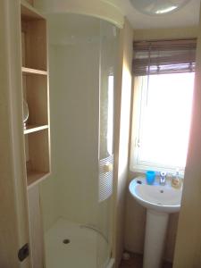 a bathroom with a shower and a toilet and a sink at Golden Palm : LE Cottage Gold 8 Berth, Panel Heated in Chapel Saint Leonards