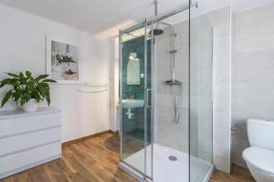 uma casa de banho com uma cabina de duche em vidro e um lavatório. em Apartamenty „Nad Popradem” em Rytro