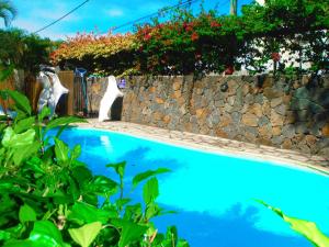 a swimming pool with a stone wall and a cat sitting next to it at Coral Park Appt D1 in Rivière du Rempart