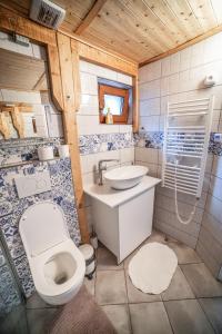 bagno con servizi igienici e lavandino di Vinný sklep Kovárna - Nad Presovnou a Rohatec