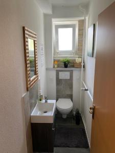 a small bathroom with a toilet and a sink at Kleines Apartment mit begehbarer Dusche im Schlafzimmer in Eberbach