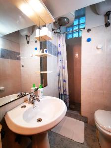 a bathroom with a sink and a toilet at Maestoso Appartamento Turistico in Rome