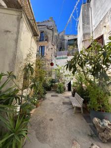 阿爾塔穆拉的住宿－Il Soprano，一条有长凳和一些植物和建筑的小巷