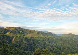 Gallery image of Clocktower 2 Homestay 2-7 pax at Brinchang, Cameron Highlands in Cameron Highlands
