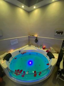 a jacuzzi tub with animals in it in a room at Old Town Suite in Guardiagrele